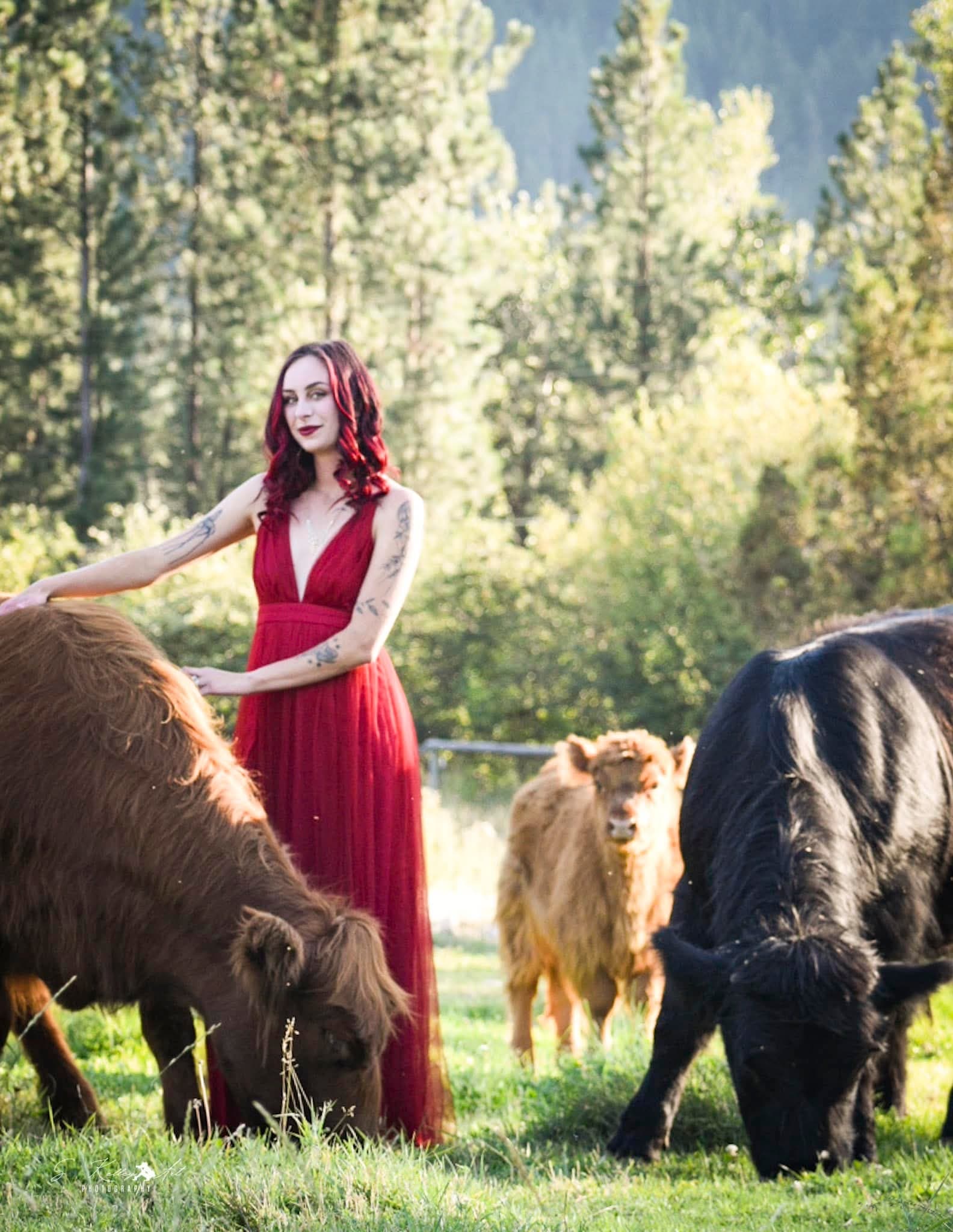 Highland cattle herd grazing at golden hour on the Moolady paddock in Clinton, Montana — the picture a session gives you.
