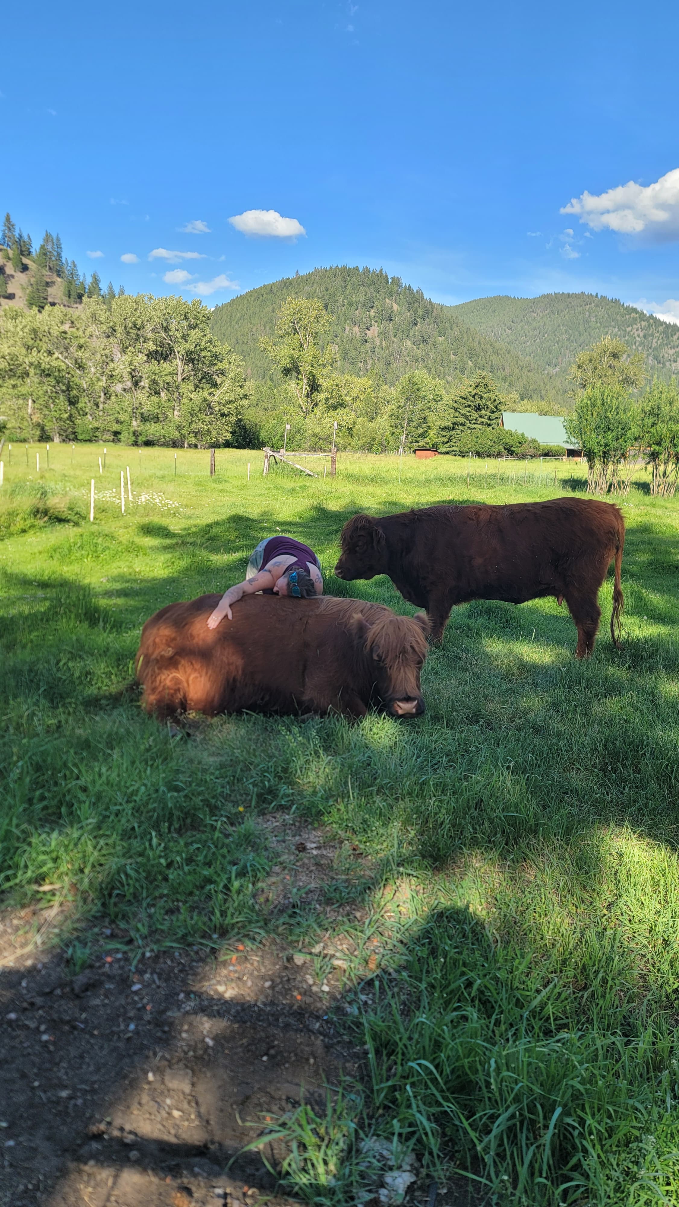 A couple leaning into each other at the pasture rail under soft late-afternoon light — one of the four session shapes the founding-family offer covers.